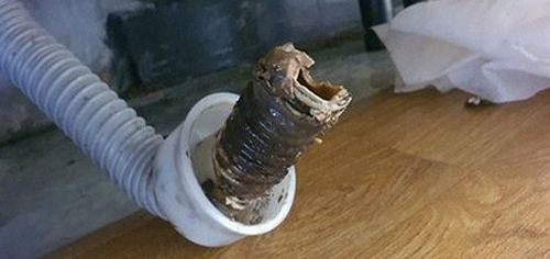 신원동 하수구막힘 아파트 역류 원인부터 마무리까지